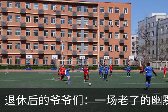 退休后的爷爷们：一场老了的幽默大戏